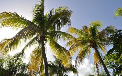 La période de vacances en Guadeloupe