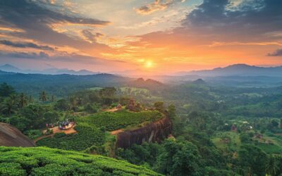Pourquoi choisir un voyage au Sri Lanka pour une expérience unique ?