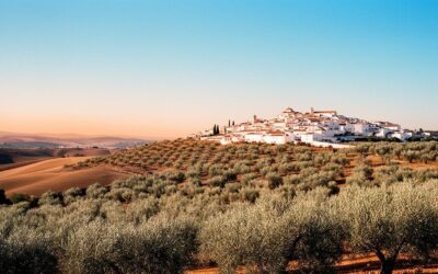 Découvrez les circuits culturels et nature d&rsquo;Andalousie avec Andhaluz Voyages